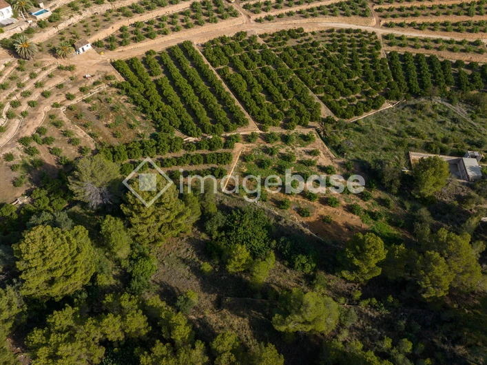 Aerial View of Agricultural Fields