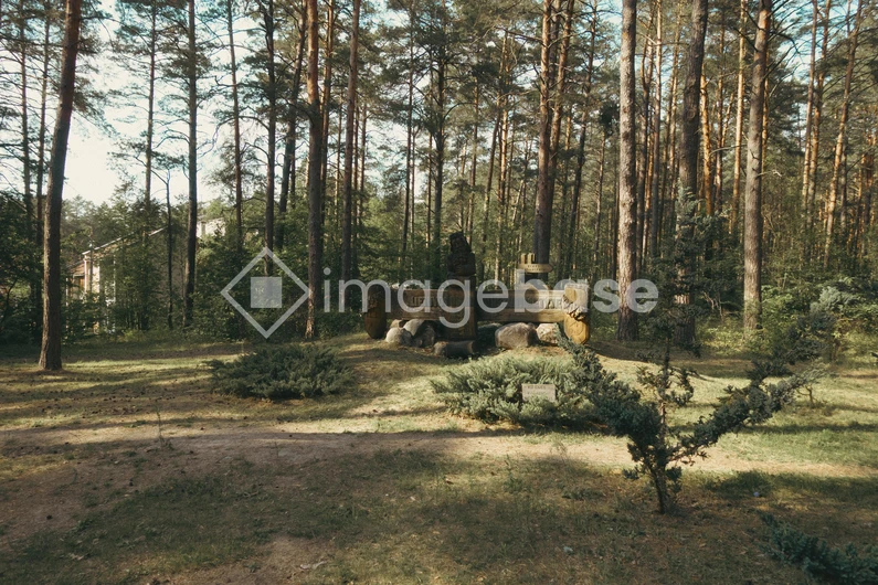 Serene Forest Monument