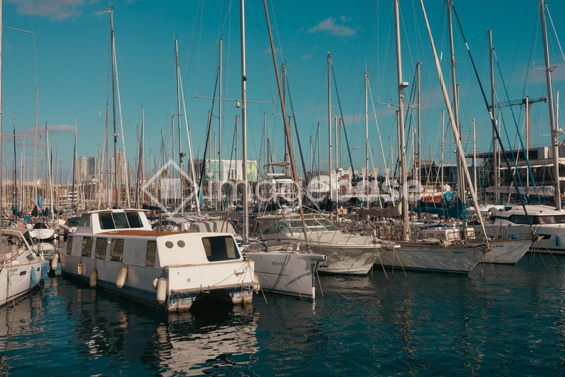 Marina with Boats