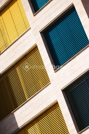 Colorful Window Blinds