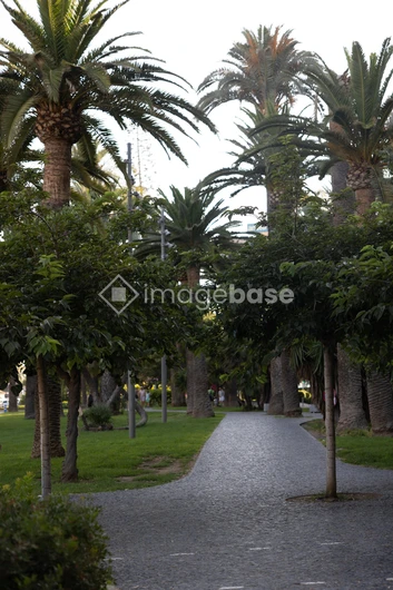 Tropical Pathway
