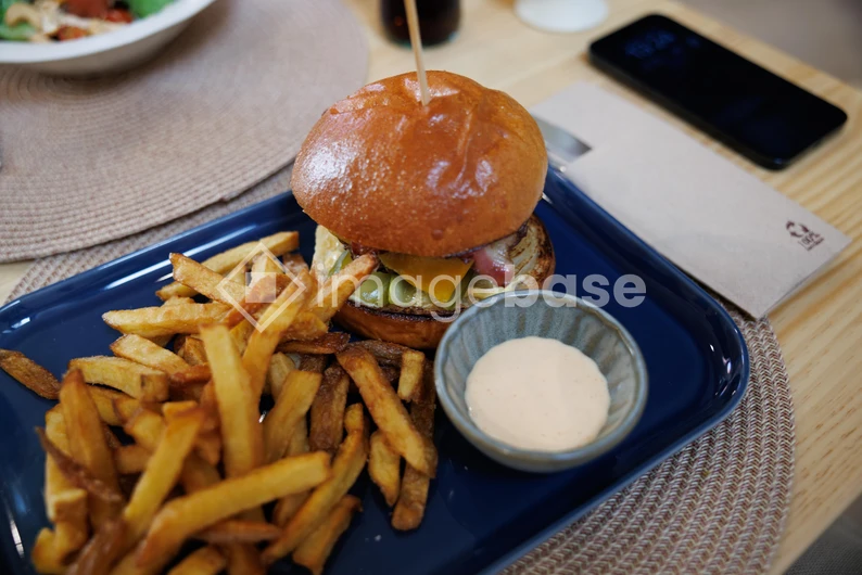Gourmet Burger and Fries