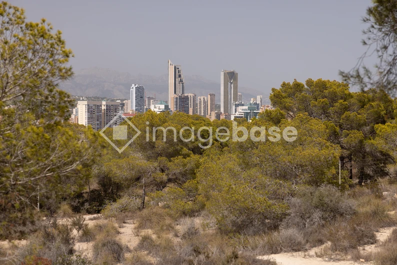 Cityscape and Nature Blend
