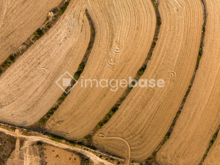 Aerial View of Plowed Fields