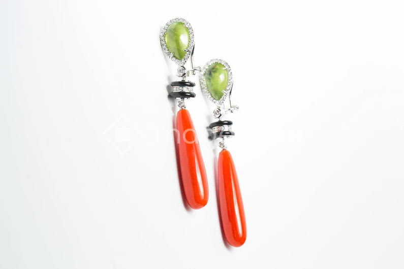 Elegant Earrings