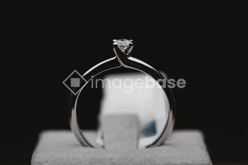 Elegant Engagement Ring