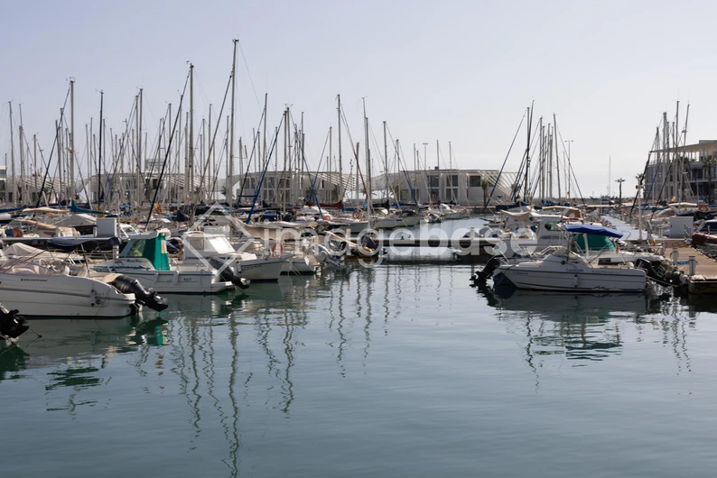 Serene Marina View