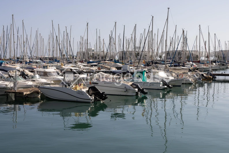 Serene Marina Scene