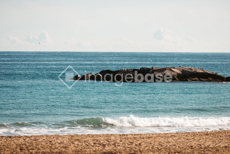 Serene Beach View