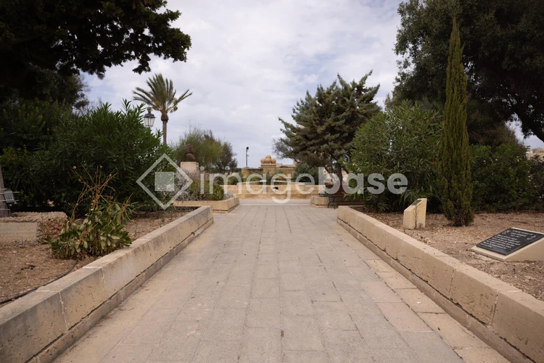 Scenic Pathway in Park