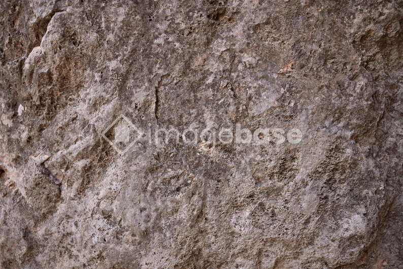Rock Texture Close-up