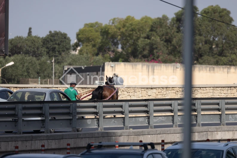 Horse on Urban Bridge