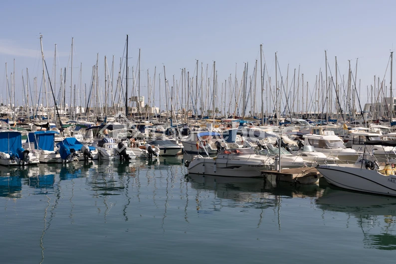 Scenic Marina View