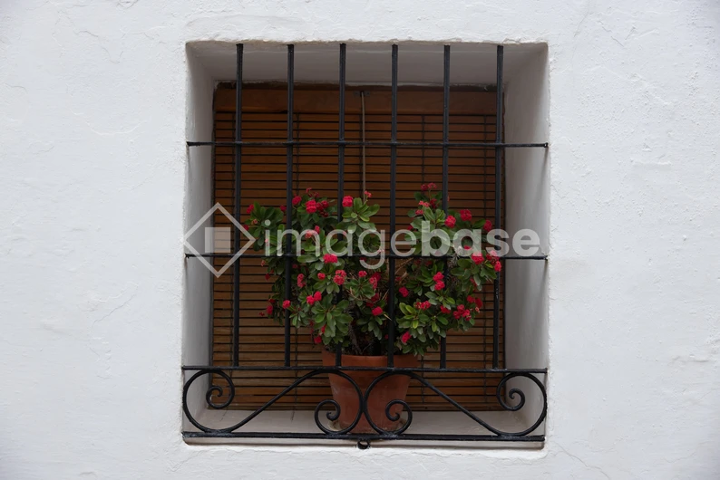 Charming Window Box