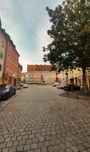 Quaint Cobblestone Street