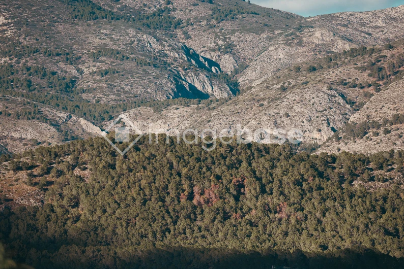 Mountain Landscape