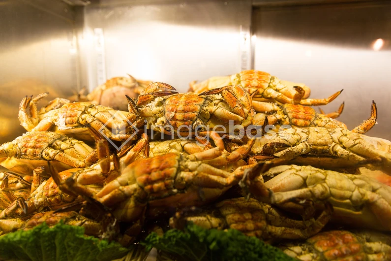 Pile of Fresh Crabs