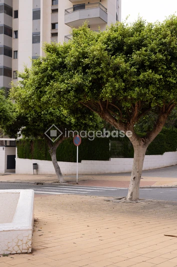 Urban Greenery
