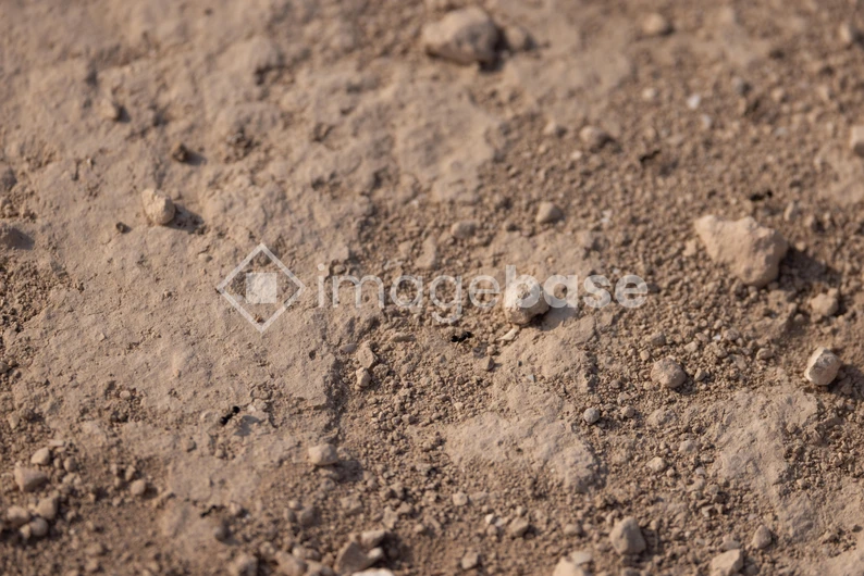 Rugged Terrain Texture