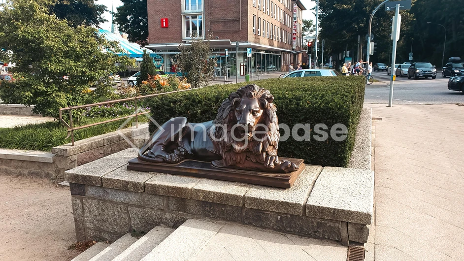 Urban Lion Statue