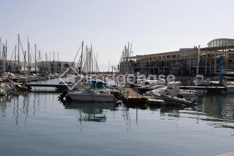 Serene Marina Scene