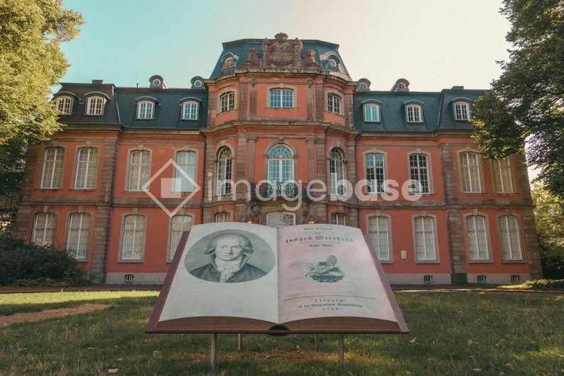 Historic Mansion with Large Book Display