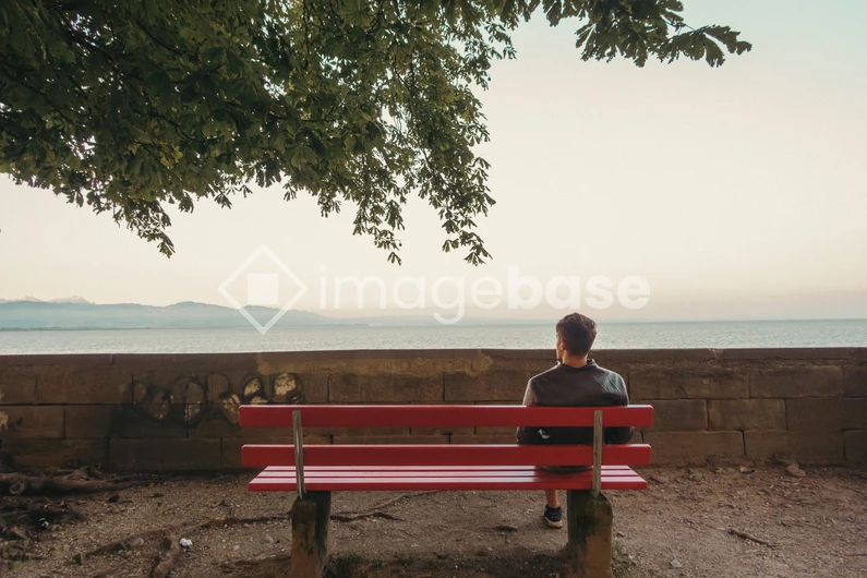 Solitude by the Sea