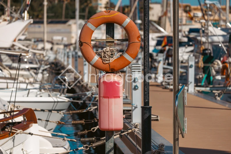 Marina Life
