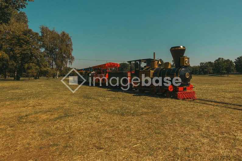 Vintage Train on Open Field