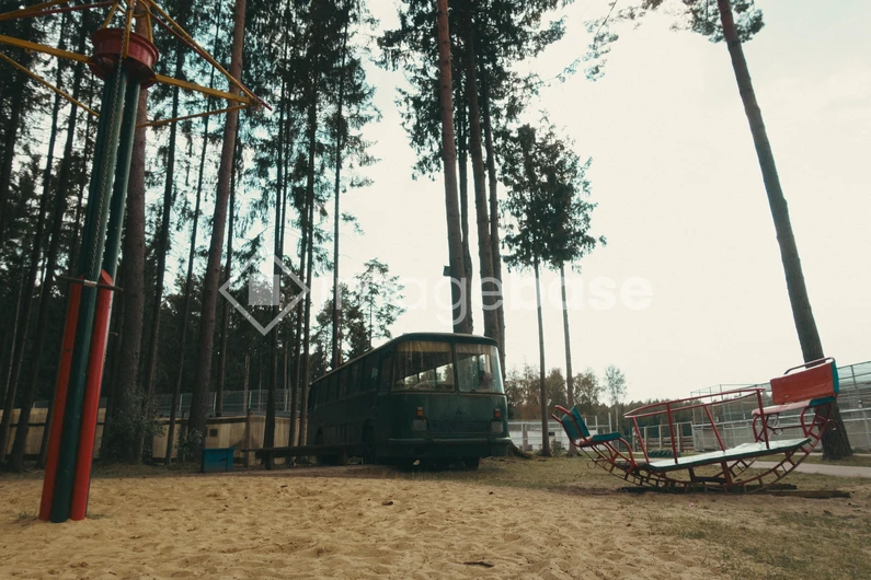 Abandoned Bus in Forest