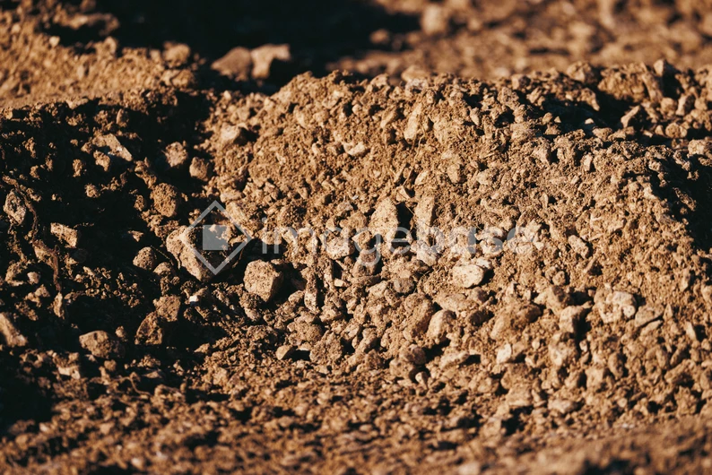 Close-up of Soil Texture