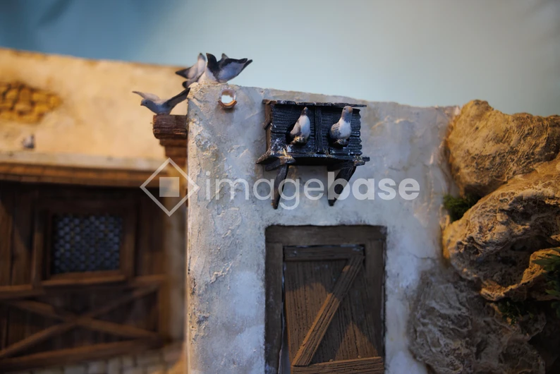 Rustic Birds and Architecture