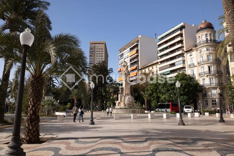 Urban Square with Palm Trees