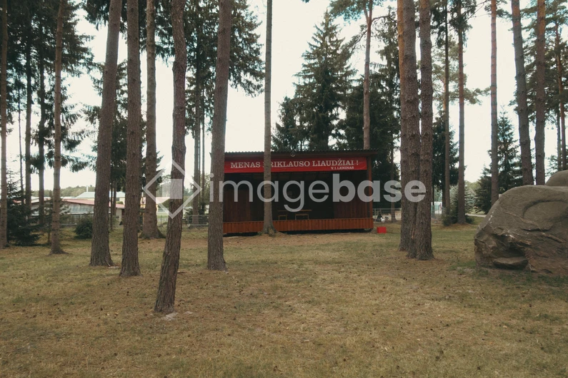 Woodland Stage