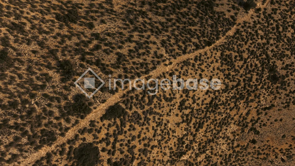 Desert Texture from Above