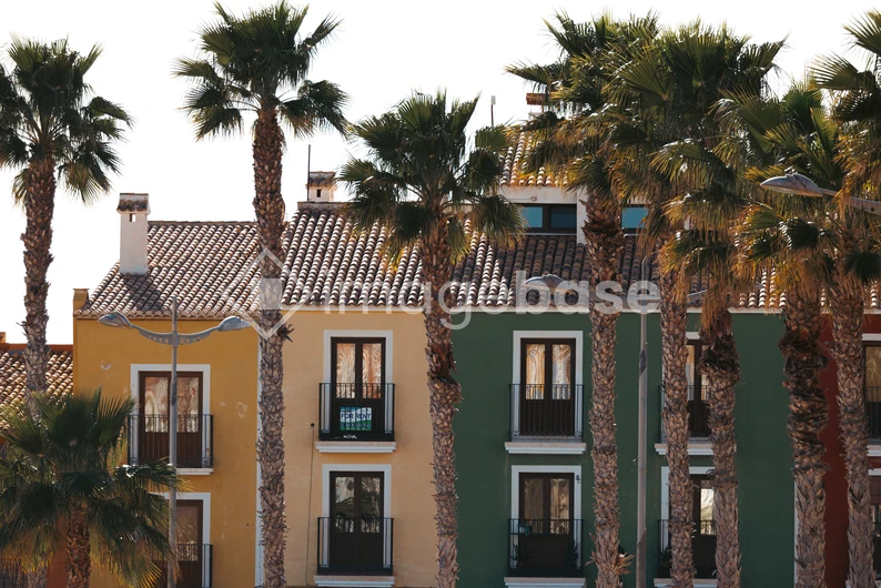 Colorful Houses with Palm Trees
