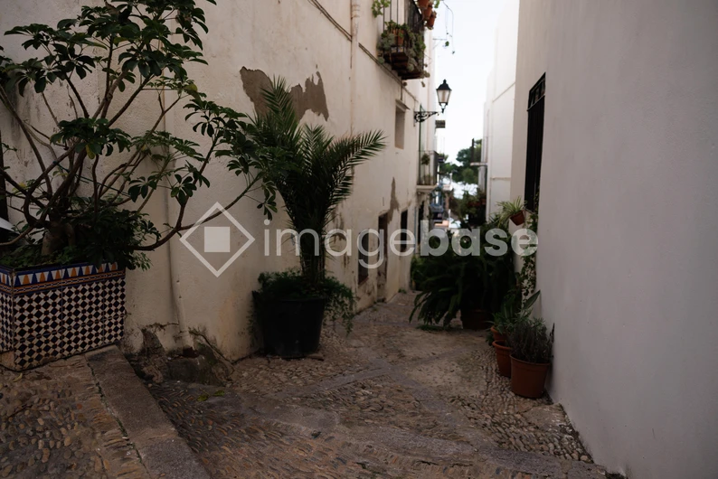 Charming Narrow Alleyway