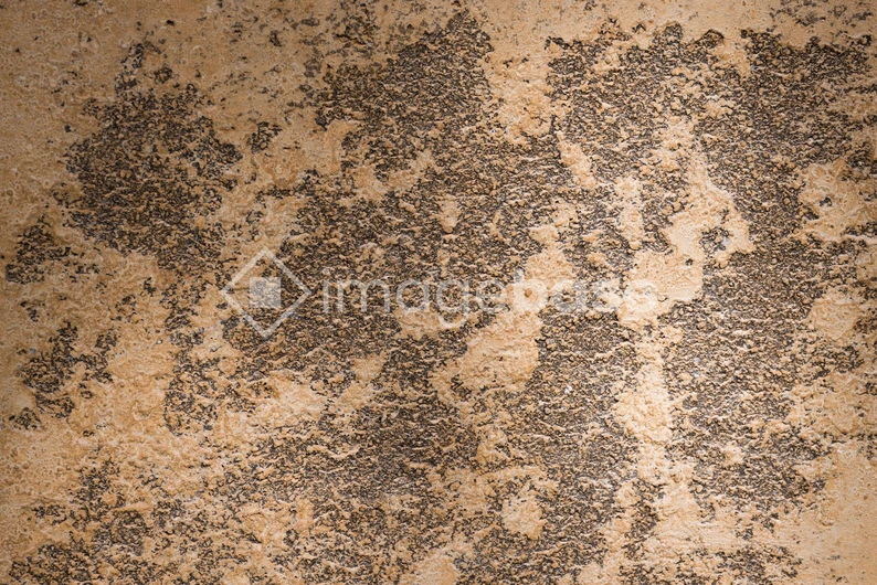 Textured Stone Surface