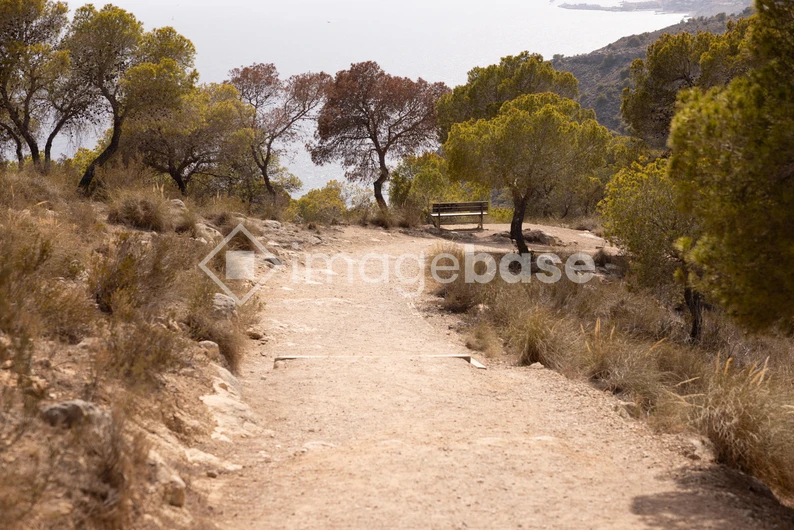 Serene Coastal Pathway
