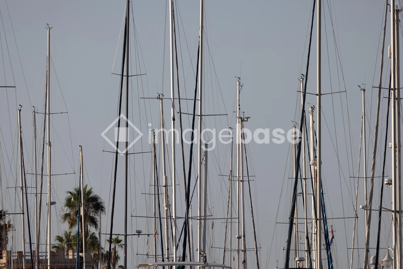 Masts at the Marina