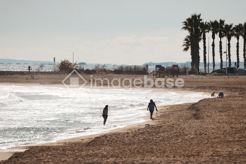 Serene Beach Stroll