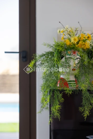 Indoor Plant Decor