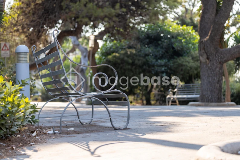 Tranquil Park Bench