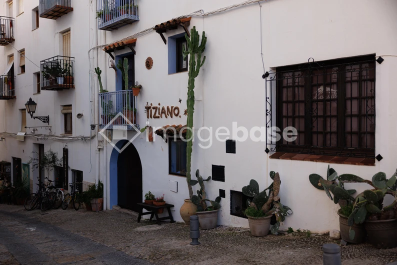 Charming Street View with Cacti