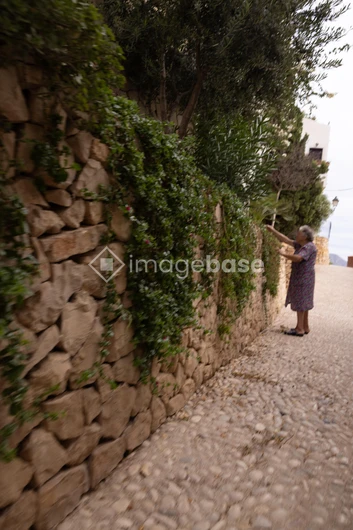 Stone Wall with Greenery