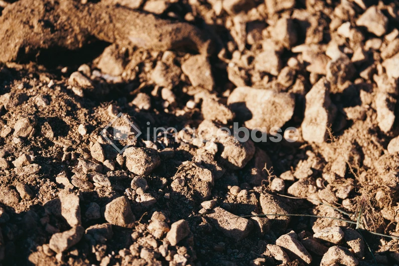 Rocky Ground Texture