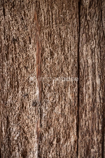 Textured Wooden Surface