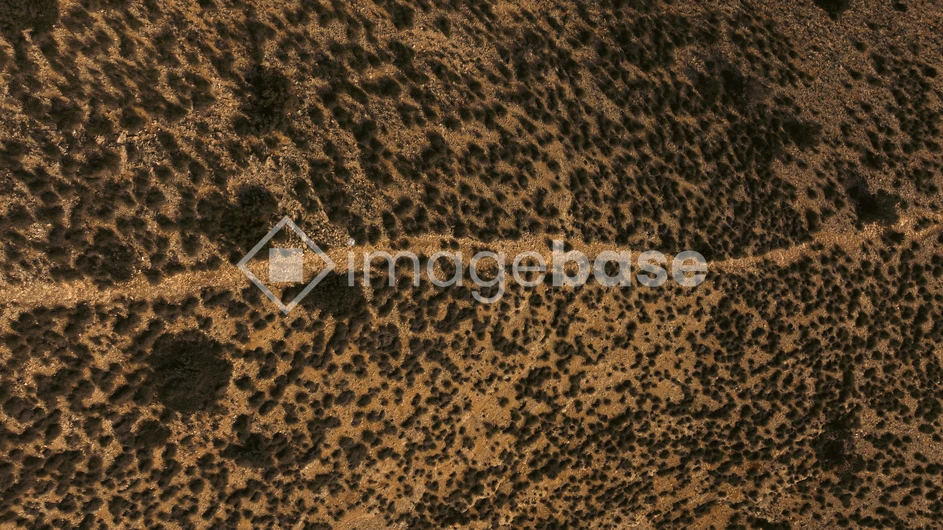 Arid Landscape