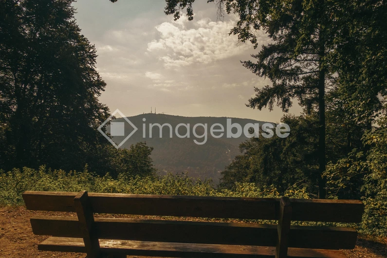 Scenic Mountain View