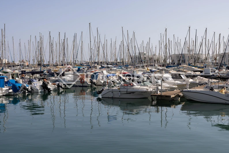 Serene Harbor with Boats